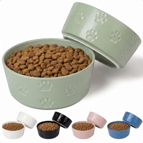 Ceramic Dog Bowl Set of 2 w/ Anti-Skid Base 6.5"W x 2.5"H, 3.8 Cup Capacity | Thick Ceramic, Dishwasher Safe, Anti-Skid Rubber Base, 3.8 Cups per Bowl, Ceramic Food & Water Bowls Set of 2 for Medium Dogs - color: Sage Green, size: Medium