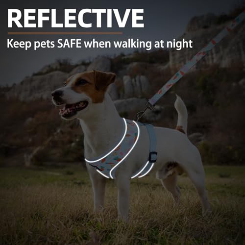 PUPTECK Soft Mesh Dog Harness and Leash Set Pet Puppy Cat Comfort Padded Vest No Pull Harnesses, Easter Blue, S - color: Baby Blue, size: S (NECK: 12", CHEST: 14"-18")