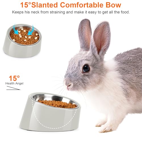 Tilted Dog Bowl Non-Slip & Non-Spill Pet Feeder with Elevated Detachable Melamine Stand, Easy to Get Food Dog Dish, S/100ml Gray - color: Grey, size: Small(100ml)