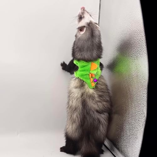 Ferret Harness and Leash Set Cute Dinosaur Design Soft Mesh Small Pet Harness Vest with Safe Bell Walking Clothes for Small Animals Ferret Rabbit Guinea Pig Squirrels (Green) - color: Green