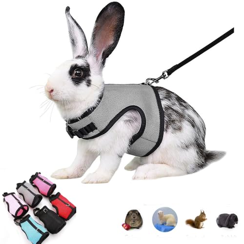 Rabbit Leash and Harness Escape Proof, Soft Bunny Mesh Vest Gray M | Soft Adjustable Buckle for Ferret Guinea Pig Hamster Squirrel Rat Walking Small Animal Pets - color: Grey, size: M (Neck:5.5"-7" Chest:6.2"-8.5")