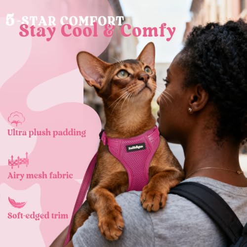 rabbitgoo Cat Harness and Leash Set, Easy-on with Neck Buckle, Rose Red | Escape Proof, No Over-the-head, Soft Air Mesh, 3 Lockable Adjusters & Buckles, Reflective, for Kittens & Small Cats Walks, Xs - color: Rose Red, size: Xs
