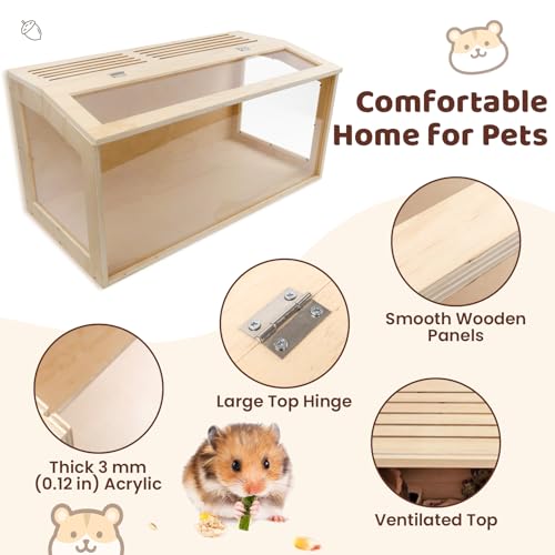 Large Hamster Cage,Transparent Habitat with Openable Top,32x16x16 Inch | Transparent Panels,Openable Top for Convenient Access,Suitable for Hamsters and Gerbils - size: 32.0"L x 16.0"W x 16.0"H