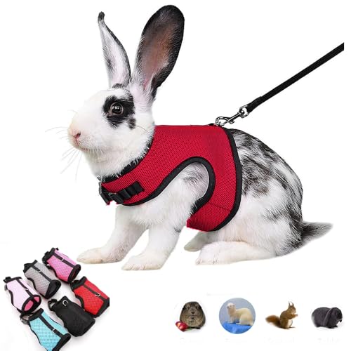 Bunny Harness and Leash Set Escape Proof Rabbit Harnesses Mesh Vest Red M | Soft Adjustable Buckle for Ferret Guinea Pig Hamster Squirrel Rat Walking Small Animal Pets - color: Red, size: M (Neck:5.5"-7" Chest:6.2"-8.5")