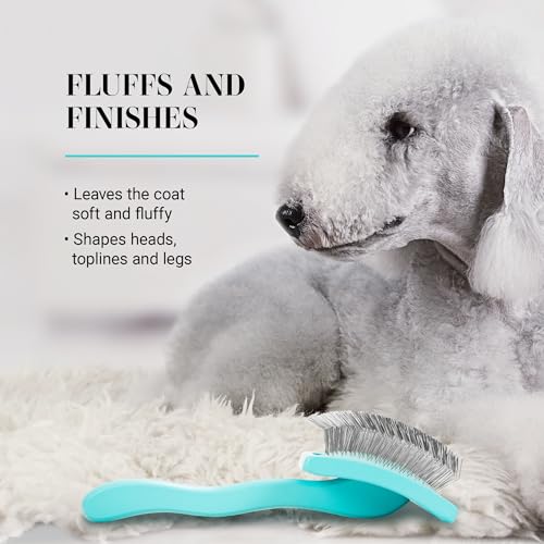 Chris Christensen Big G Dog Slicker Brush for Dogs (Goldendoodles, Labradoodles, Poodles), Groom Like a Professional, Fluff Detangle Style, Saves Time Energy, Teal, Large - color: Teal, size: Large
