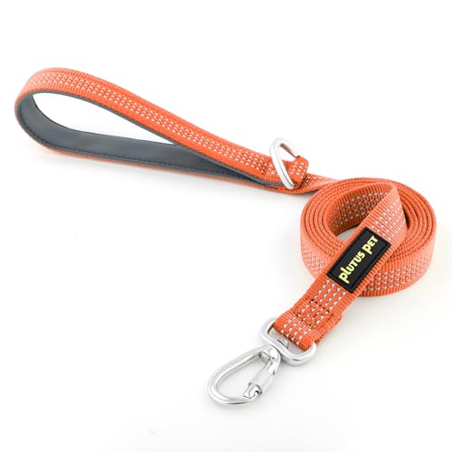 Plutus Pet Heavy Duty Dog Leash with Lockable Aluminum Carabiner, 4 FT Long | Double-Sided Reflective Nylon, Padded Handle, Heavy Duty, for Puppy Small Medium and Large Dogs (Orange, 1" x 4') - color: Orange, size: 1" x 4'