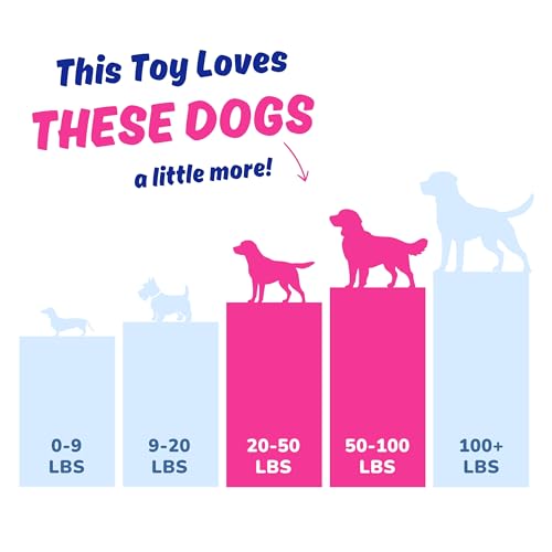 Dog Toy for Aggressive Chewers, Tough Squeaky Chew Ball, Large Breeds Gift | Super Strong, Durable Soft Plush Pig, No Stuffing Inside; Interactive for Puppies, Medium & Big Pets in a Birthday Gift Box - color: Pink