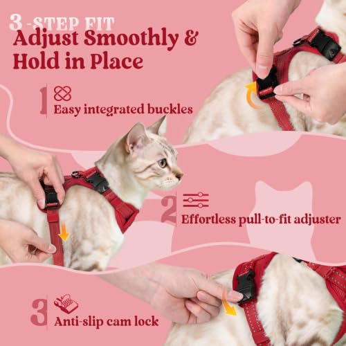 rabbitgoo Cat Harness and Leash, Easy-on with Neck Buckle, Red | Escape Proof, No Over-the-head, Soft Air Mesh, 3 Lockable Adjusters & Buckles, Reflective, for Small to Average Cats Walks, S - color: Red, size: S
