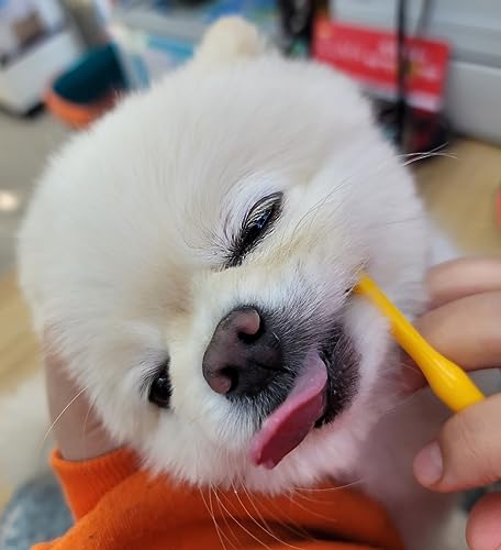Tiny Small and Medium Dog Toothbrush Made in Korea Brush Bristles That are Soft and Do Not Irritate Your Dog’s Gums Small Toothbrush Grip and Excellent Tartar Removal (4pcs)