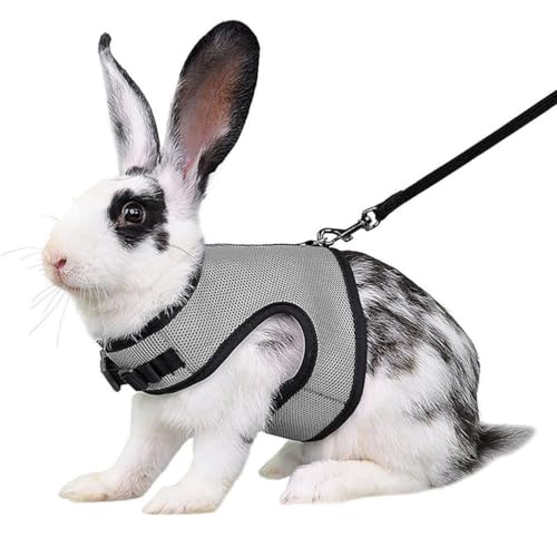 Gray Bunny Harness and Leash Set Ferret Harness Rabbit Vest, S | Quick-release, Breathable, Escape Proof, Suit For 1-2 Months Rabbit Ferret Guinea Pig Small Animals - color: Grey, size: S