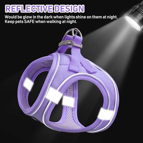 GAMUDA Small Pet Harness Collar and Leash Set, Step in No Chock No Pull Linen Fabric Soft Mesh Dog Vest Harnesses Reflective for Dogs Puppy Cats Kitten Rabbit (Purple, S) - color: Purple, size: Small