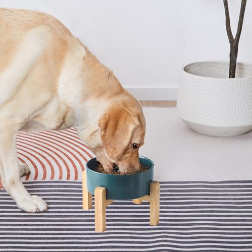 6'' Ceramic Raised Dog Bowl - 30Oz Dog Food & Water Bowl with Elevated Non-Slip Bamboo Stand, Dishwasher & Microwave Safe, Anti Vomiting Heavy Duty Pet Bowl for Small and Medium Dogs, Green - color: 1 x Bowl + Stand - Green, size: 6 inch