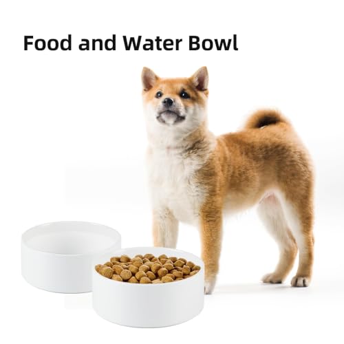 Havniva Ceramic Dog Bowls, 6.1” Dog Food and Water Bowl, Pet Feeding Bowl | Dog Food Bowl for Small Dogs, Food-Grade Ceramic, Dog Water Bowl with Non-Slip Rubber Base, Large Capacity, Dishwasher Safe - color: Matte White, size: 6.1" - Bowl