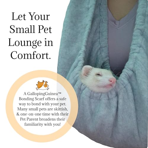 Bonding Scarf for Small Pets | Perfect for Guinea Pigs, Rats, Chinchillas, Hedgehogs, Ferrets, Puppies, Kittens, & More! (Blue Mixed Prints) - color: Blue