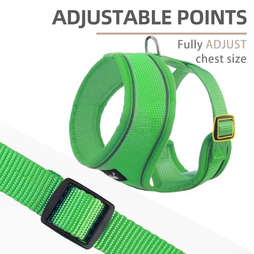PUPTECK Soft Mesh Dog Harness and Leash Set Pet Puppy Cat Comfort Padded Vest No Pull Harnesses, Solid Green, S - color: Solid Green, size: S (NECK: 12", CHEST: 14"-18")