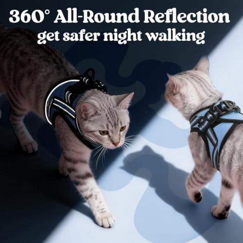 rabbitgoo Cat Harness and Leash Set, Step-in Soft Vest, Light Blue | Escape Proof, Lightweight, Easy-on & Adjustable, Hook & Loop with Buckle, Reflective, for Kittens & Small Cats Walks, S - color: Light Blue, size: S