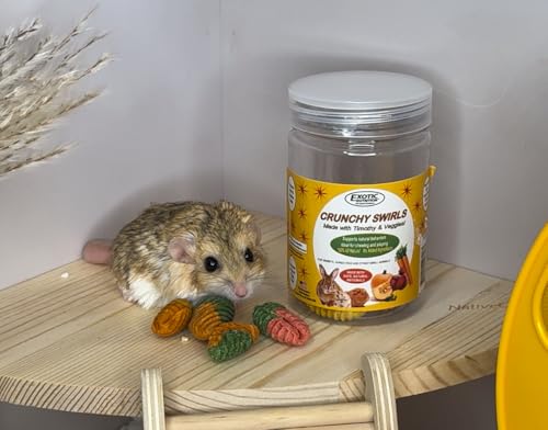 Exotic Nutrition Corner Riser Platform - Durable Wooden Platform for Small Animals Such as Hamsters, Degus, Gerbils, Rats and mice