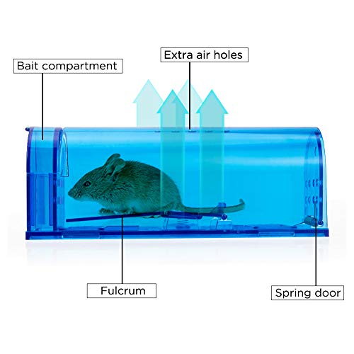 Blinc [4-Pack] Humane Mouse Trap - Catch and Release No-Kill Rodent Traps for Indoors & Outdoors - Safe for Children & Pets - Reusable Mouse Catcher for Kitchen, Pantry & Garage (Transparent Blue) - size: 4 Pack