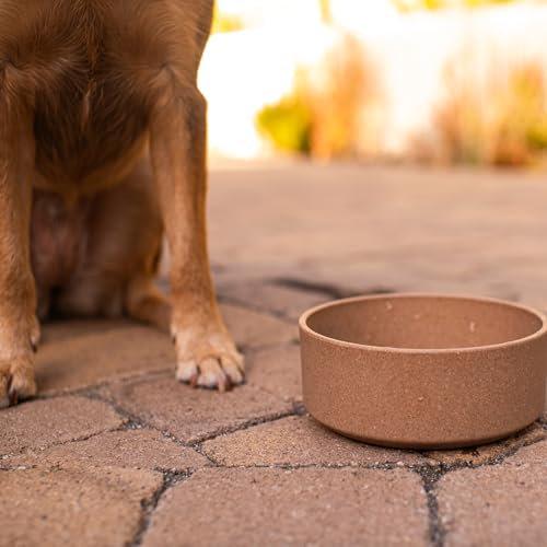 Loving Pets - Dolce Bamboo - Eco-Friendly Pet Bowls & Dishes for Dog, Cats, Puppy Food and Water Dish -Sustainable and Dishwasher Safe, Made with Real Bamboo (Medium, Coffee-Brown) - color: Coffee Brown, size: Medium Dish