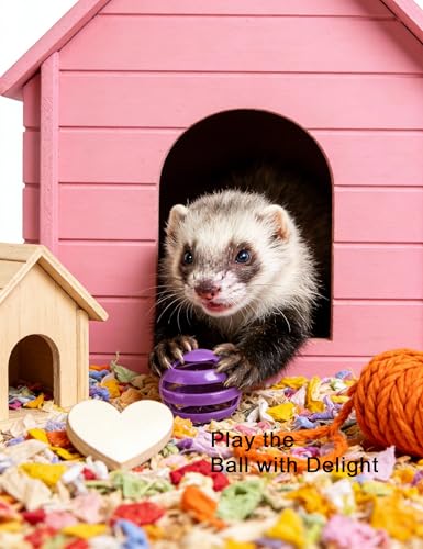 10 Pack Hollow Cutout Bell Play Balls for Ferret, Non Toxic, PP Material | Smooth Polished Edges, No Sharp Burrs, Gentle On Ferret Mouth and Paw