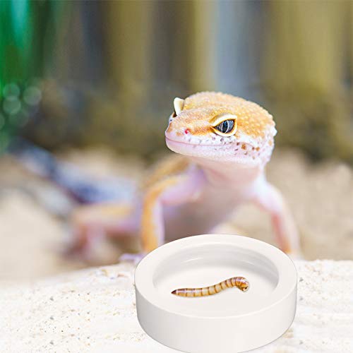 4 Pcs Reptile Bowl Food Dish Reptile Water Food Feeding Dish Ceramic Worm Pet Bowl Anti Escape Feeder for Lizard Anoles Chameleon Bearded Dragon Hermit Crab(2.71 Inch) - size: 2.71 Inch