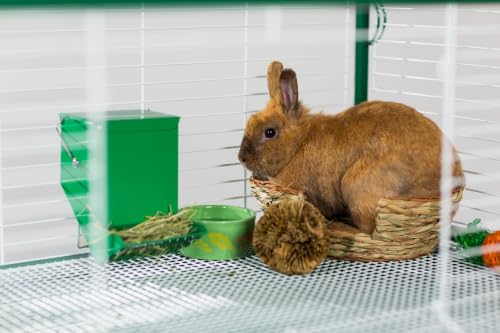 Prevue Pet Products Green Metal Small Animal Bin Feeder - Gravity Feed Trough Holds 5-Day Food Supply for Rabbit, Guinea Pig & Similar Pets, Mesh Dust-Reducing Cage Feeder - Green