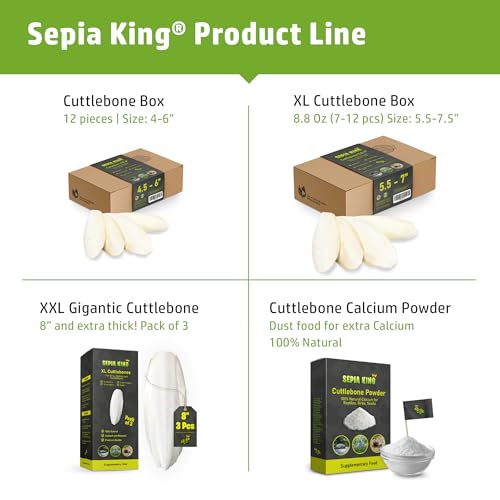 Sepia King - Medium - 100% Natural Calcium Supplement - Premium Cuttlebone Perfect for Birds, Tortoises, Snails, Reptiles - 12 Pack