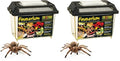 Exo Terra Faunarium Small PT2255 – Plastic Reptile Terrarium and Transport Container for Lizards, Spiders & Amphibians (Pack of 2) - size: Small (Pack of 2)