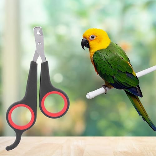 Bird Nail Clippers, Stainless Steel Small Animal Nail Clippers, Half Moon Pet Nail Scissors, Plastic Handle Pet Nail Clipper Scissors, Clipper Bird Grooming for Small Parrot Birds
