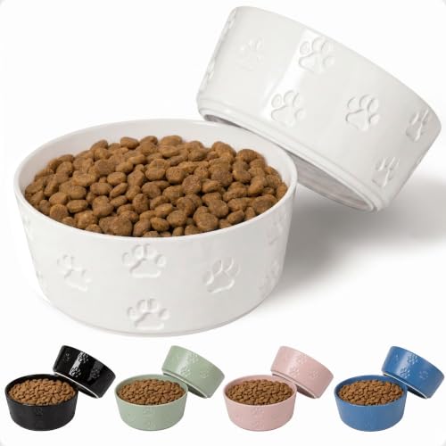 Ceramic Dog Bowl Set of 2 w/ Anti-Skid Base 6.5"W x 2.5"H, 3.8 Cup Capacity | Thick Ceramic, Dishwasher Safe, Anti-Skid Rubber Base, 3.8 Cups per Bowl, Ceramic Food & Water Bowls Set of 2 for Medium Dogs - color: White, size: Medium