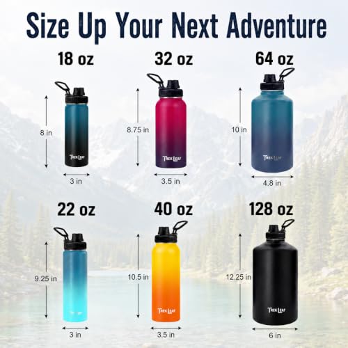 Travel Water Bottle with 3 Lids (Spout, Straw, Flip) Leak Proof, Quality, Vacuum Insulated, Stainless Steel (Deep Water, 18 oz) - color: Deep Water, size: 18 Ounces