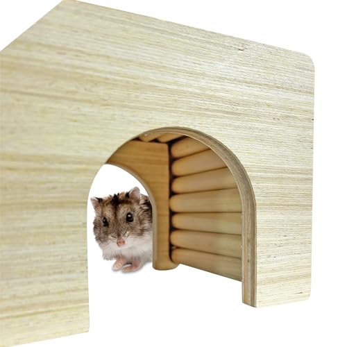 Exotic Nutrition Climber Cave - Fun & Unique Cage Accessory for Dwarf Hamsters, Golden Hamsters, Degus, Gerbils and Other Small Animals