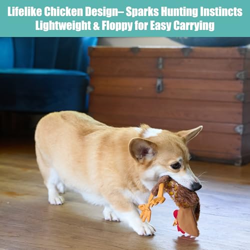 SPOT Skinneeez Chicken 13 Inch Stuffing-Free Plush Squeaky Dog Toy – Soft Interactive Chew Toy for Small and Medium Dogs – Mess-Free Play for Light & Moderate Chewers - style: Mini Chicken