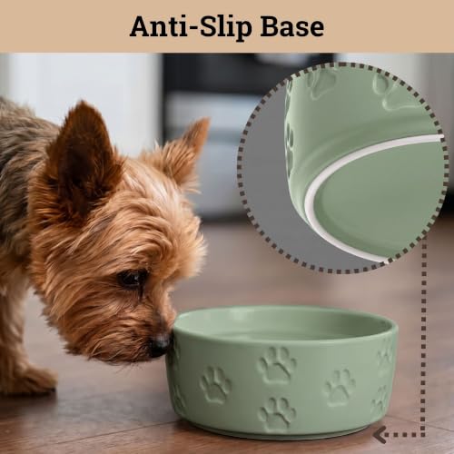 Ceramic Dog Bowl Set of 2 with Anti-Skid Base, 5.5"W x 2"H, 2 Cup Capacity | Thick Ceramic, Dishwasher Safe, Anti-Skid Rubber Base, 2 Cups per Bowl, Ceramic Food and Water Bowls Set of 2 for Small Dogs - color: Sage Green, size: Small