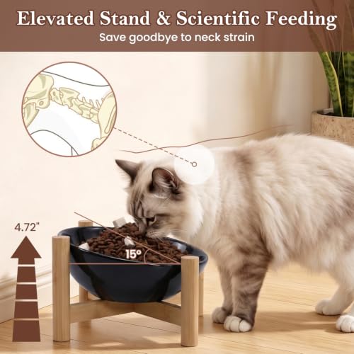 15° Slanted Rim Ceramic Cat Bowl, Anti-Spill for Small Cats,Black | ood-safe Ceramic with Wooden Stand,Ergonomic Tilt Relieves Neck Strain,Anti-Vomiting,Prevents Whisker Fatigue - color: Black