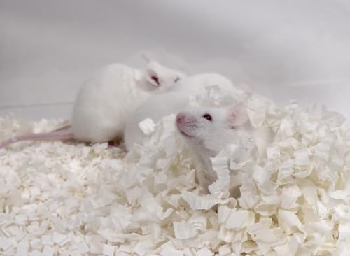 Plus Small Animal Bedding, Paper Bedding for Small Animals, Mouse, Rats, Rodent, Gerbil, Snake, 20 lbs