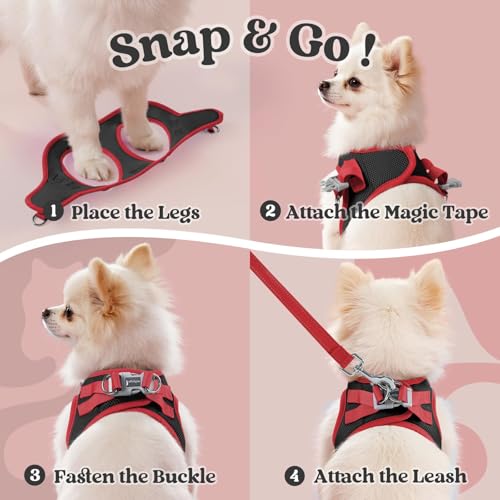 rabbitgoo Dog Harness Small Sized and Leash Set, Step in Soft Vest | Breathable Mesh, Easy Wear with Hook & Loop, Light and Reflective for Walking, Multi-colored, Black & Red, XXS - color: Black & Red, size: XXS (Chest: 12.4"-14.2")
