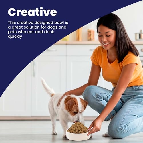 SPOT by Ethical Products – Ceramic Stoneware Pet Bowl for Cats and Small Dogs,Classic Heavy Duty Non Slip Ceramic Cat Dish Dog Bowls for Food and Water - size: 5"