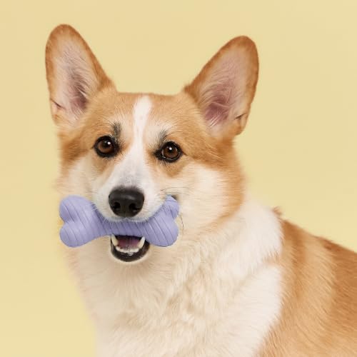 Playology Dual Layer Bone Dog Chew Toy - Medium, Lamb Scent | Rubber Construction, All Natural Scent, Heavy Duty Design - size: Medium, style: Lamb