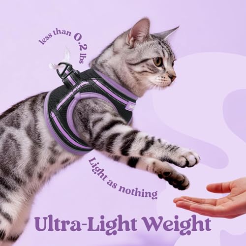 rabbitgoo Cat Harness and Leash Set, Step-in Soft Vest, Black-Light Purple | Escape Proof, Lightweight, Easy-on & Adjustable, Hook & Loop with Buckle, Reflective, for Kittens & Small Cats Walks, M - color: Black-Light Purple, size: M