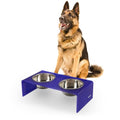 DBL2001F Keaton 7.5" Medium/Large Modern Acrylic Rectangular Elevated Pet Feeder with 54oz 2-Stainless Steel Bowls, Purple/Chrome - color: Purple/Chrome, size: 54 Ounces (7.5" Cups 2-Pack)