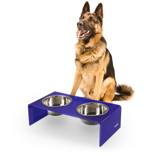 DBL2001F Keaton 7.5" Medium/Large Modern Acrylic Rectangular Elevated Pet Feeder with 54oz 2-Stainless Steel Bowls, Purple/Chrome - color: Purple/Chrome, size: 54 Ounces (7.5" Cups 2-Pack)