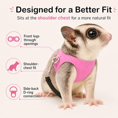3 Pack Sugar Glider Harness and Leash Set Small Animal Training Walking Vest for Squirrel Hamster Rat Pink - color: Pink