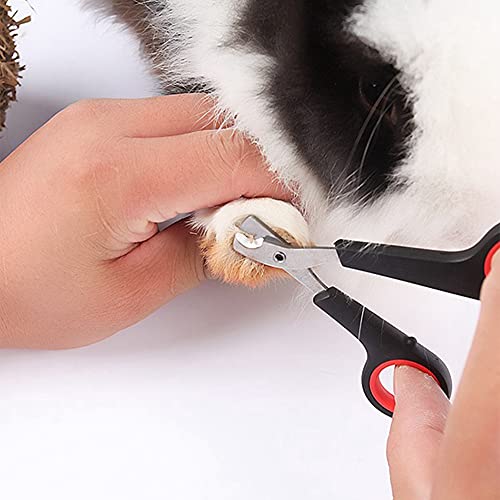 Rabbit Nail Clippers and Trimmers Stainless Steel Pet Claw Grinding Scissors for Small Breeds Cats Guinea Pig Puppy Ferret Hamsters Chinchilla Sugar Glider Grooming Tool Set (Black)