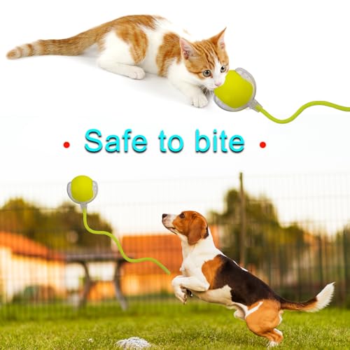 Interactive Cat Dog Toy Ball with LED Light, Automatic Rolling(Yellow) | String Tail and LED Light Design, Motion Activated, Suitable for Interactive Indoor Pet Play and Exercise - color: Yellow