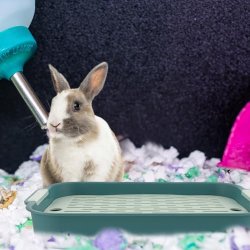 Rabbit Litter Box Rectangular 10.62X7.40X1.57In Bunny Potty Trainer with Raised Fence for Small Pets Hamsters Guinea Pigs Indoor Use - color: Green