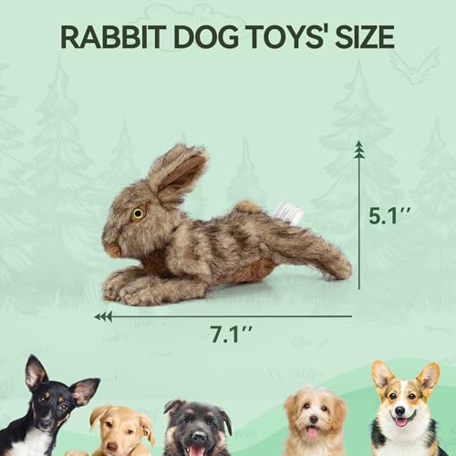 ALL FOR PAWS Squeaky Dog Toys, Dog Stuffed Animal Toys, Plush Toy for Small Medium Large Dogs, Puppy Chew Toy with Squeaker, Brown Rabbit-S | Plush Toy for Small Medium Large Dogs, Puppy Chew Toy with Squeaker, Brown Rabbit-S - size: Small (Pack of 1)