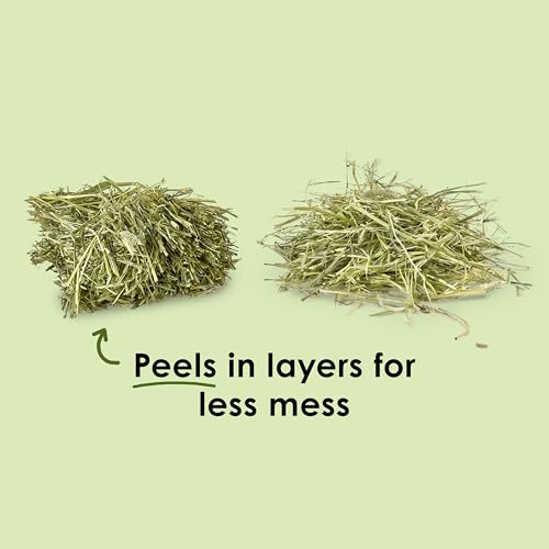 Kaytee Wafer Cut All Natural Timothy Hay for Pet Guinea Pigs, Rabbits & Other Small Animals, 60 Ounce - size: 3.75 Pound (Pack of 1)