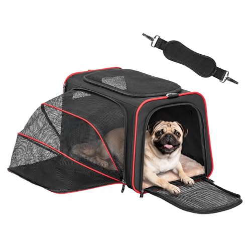 Petsfit Large Expandable Cat Carrier for Travel, Up to 18 lb | 19 x 12 x 12 in; roomy expandable space with a reinforced frame, locking zippers, interior safety tether and large pocket. - color: Black, size: 19"L x 12"W x 12"H