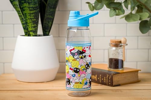Silver Buffalo Sanrio Hello Kitty and Friends, Water Bottle, 28oz | Keroppi, My Melody, Pochacco, Kuromi, Little Twin Stars, Includes Screw-On Lid, Badtz-Maru, Chococat, Pompompurin - color: Sanrio Character Bunch, size: 28 Ounces